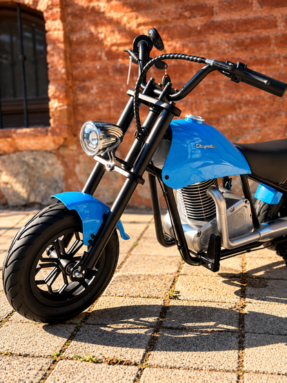 36V 180W Chopper Akülü Motor Elden Gazlı Dumanlı Şişme Lastikli Lityum pilli