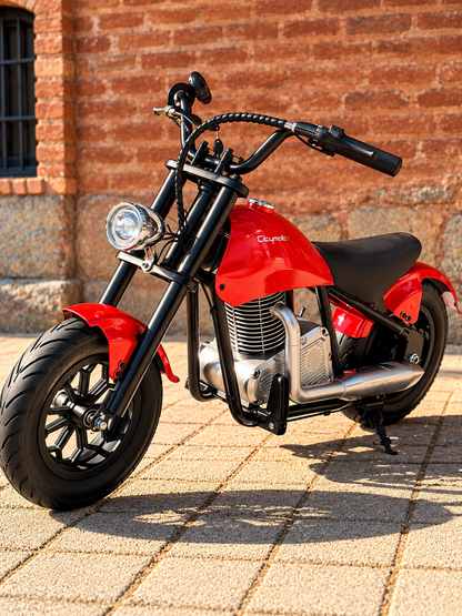 36V 180W Chopper Akülü Motor Elden Gazlı Dumanlı Şişme Lastikli Lityum pilli