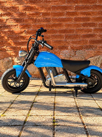 36V 180W Chopper Akülü Motor Elden Gazlı Dumanlı Şişme Lastikli Lityum pilli